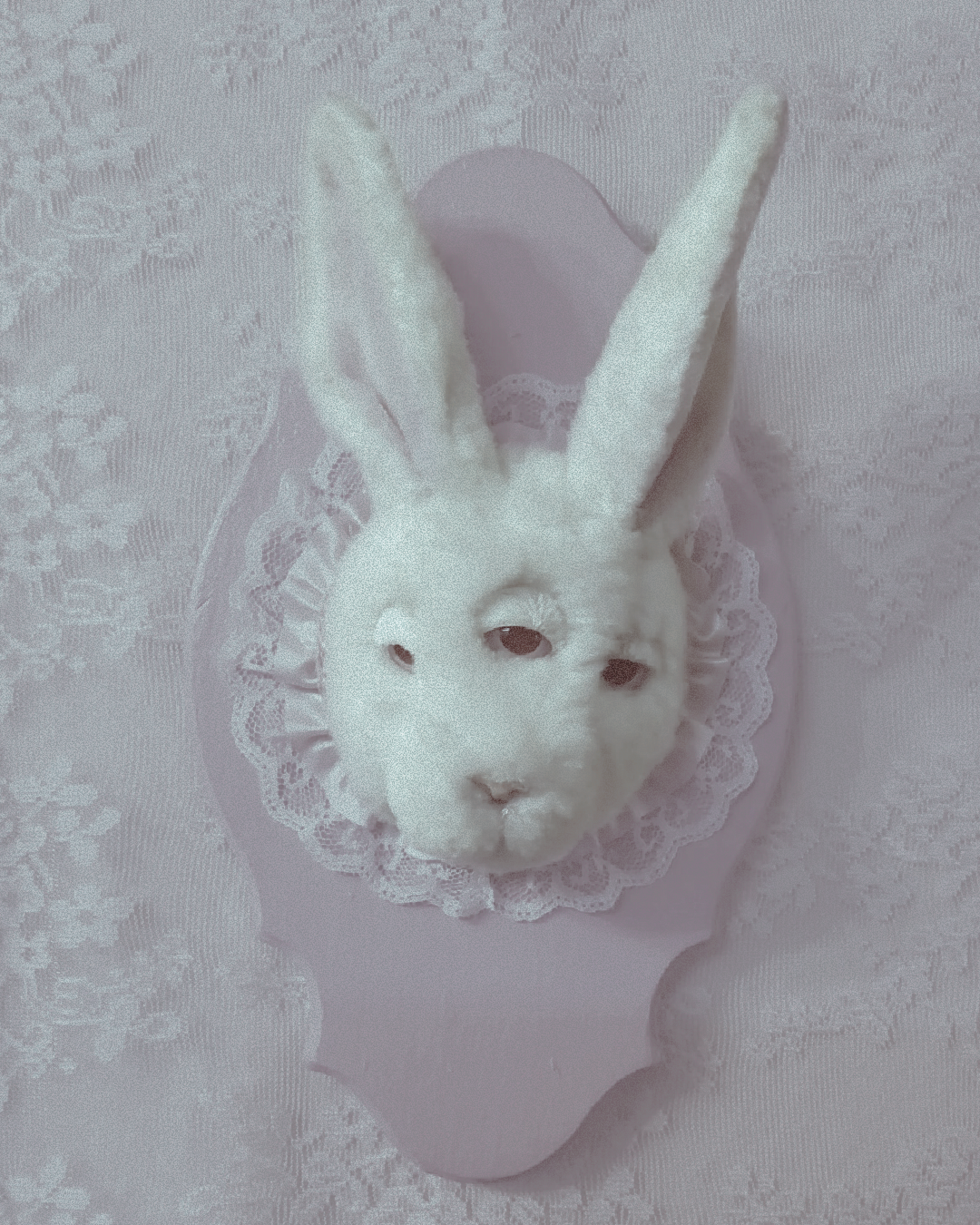 Seven Days Until the Dollhouse Opens